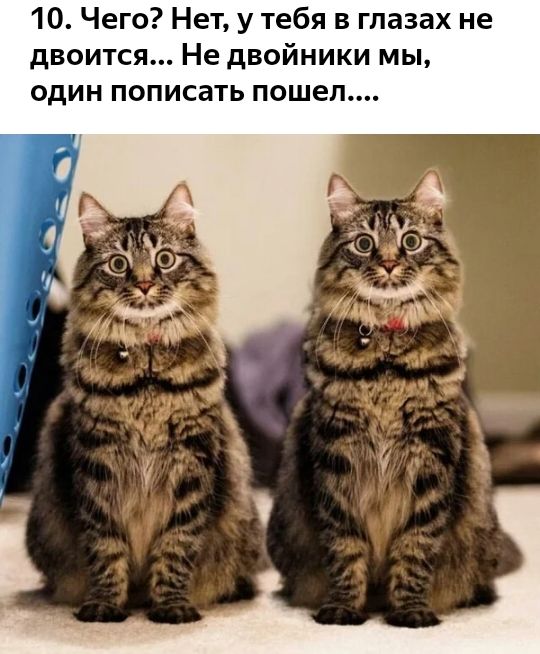 10 Чего Нет у тебя в глазах не двоится Не двойники мы один пописать пошел