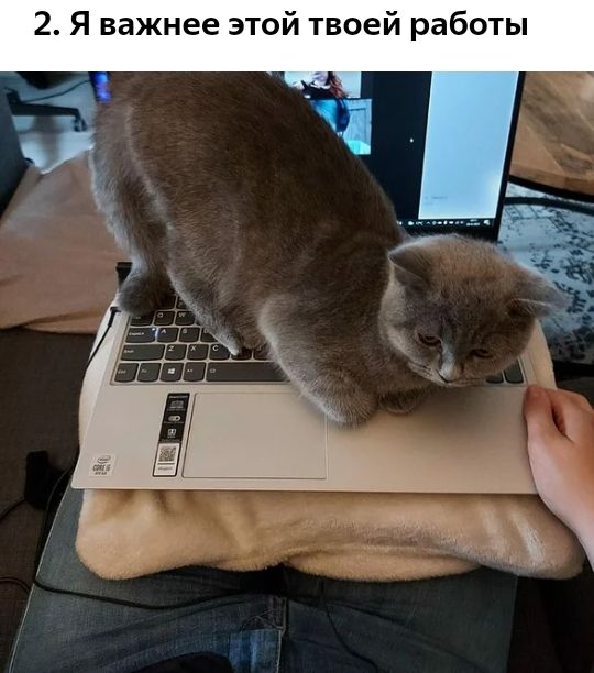 2 Я важнее этой твоей работы