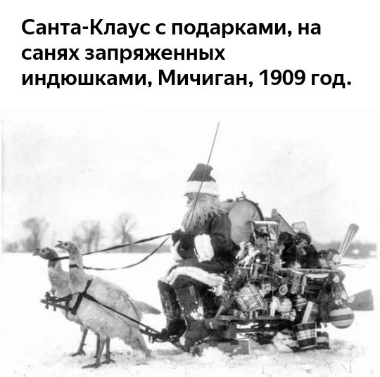 Санта Клаус с подарками на санях запряженных индюшками Мичиган 1909 год