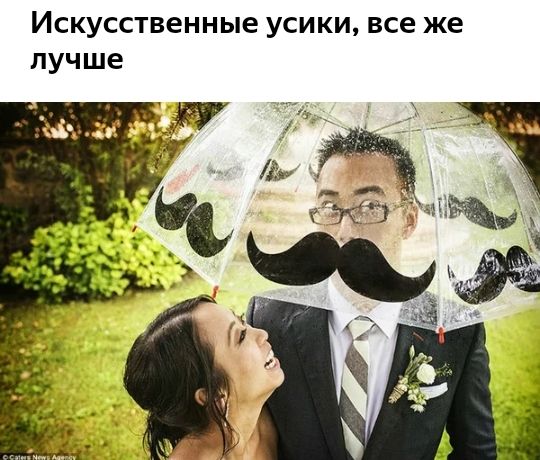 Искусственные усики все же лучше