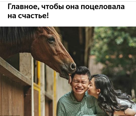 Главное чтобы она поцеловала на счастье
