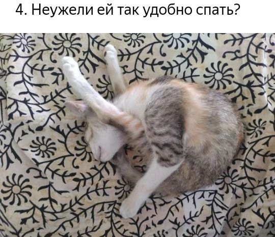 4 Неужели ей так удобно спать ЁЁЁЁЁЁ