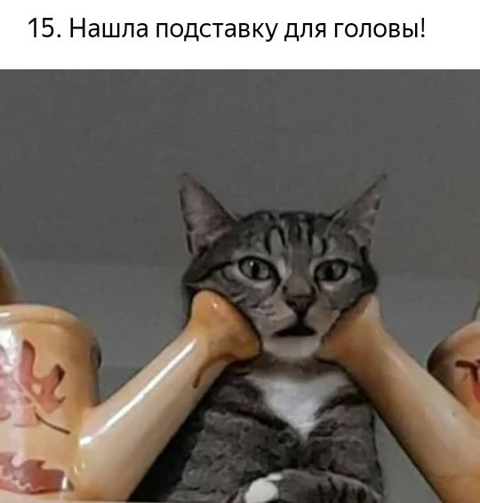 15 Нашла подставку для головы