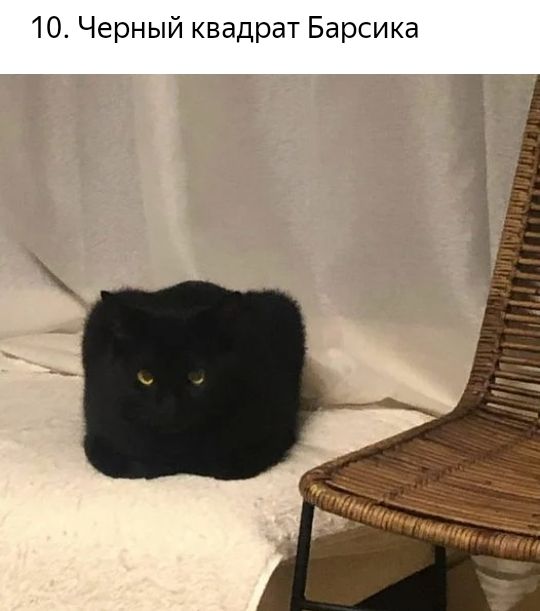 10 Черный квадрат Барсика