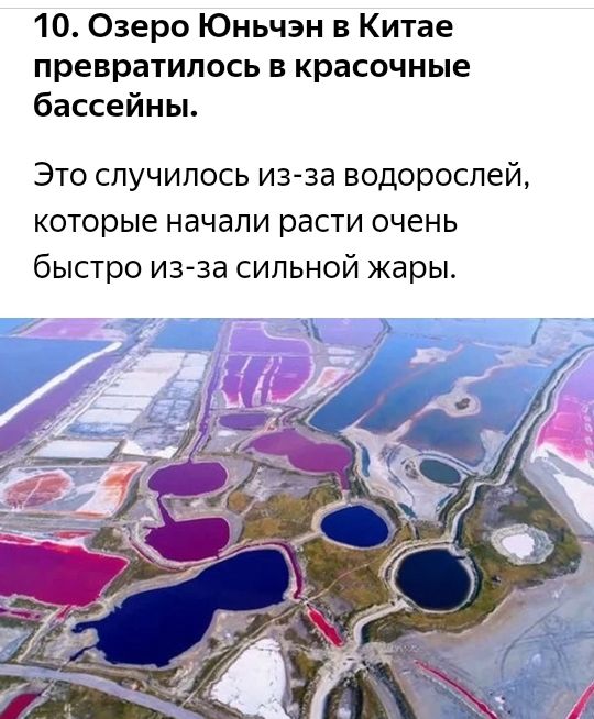 10 Озеро Юньчэн в Китае превратилось в красочные бассейны Это случилось изза водорослей которые начали расти очень быстро из за сильной жары
