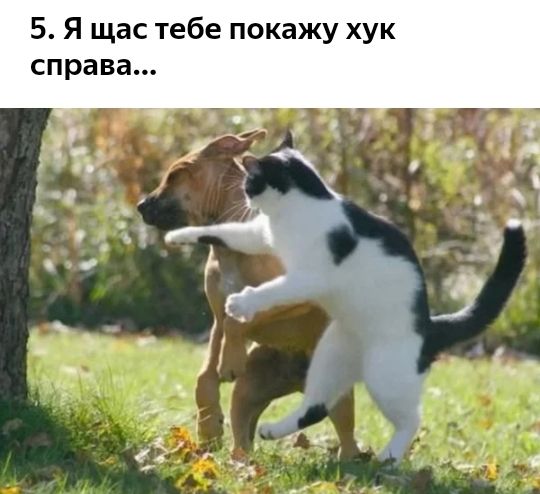 5 Я щас тебе покажу хук справа