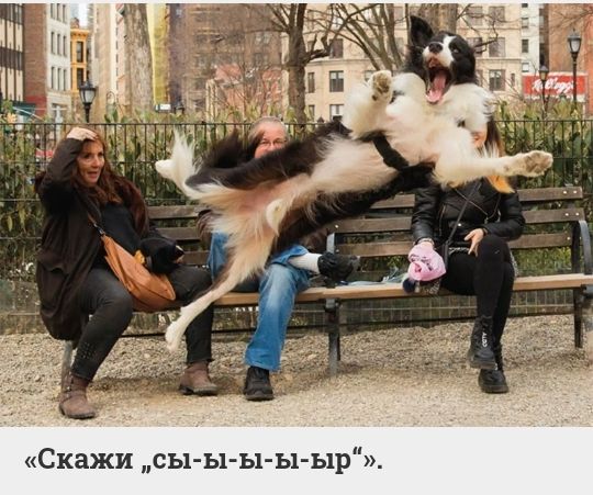 Скажи сь1 ы ы ь1 ыр