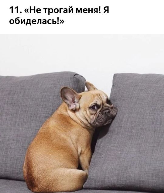 11 Не трогай меня Я обиделась