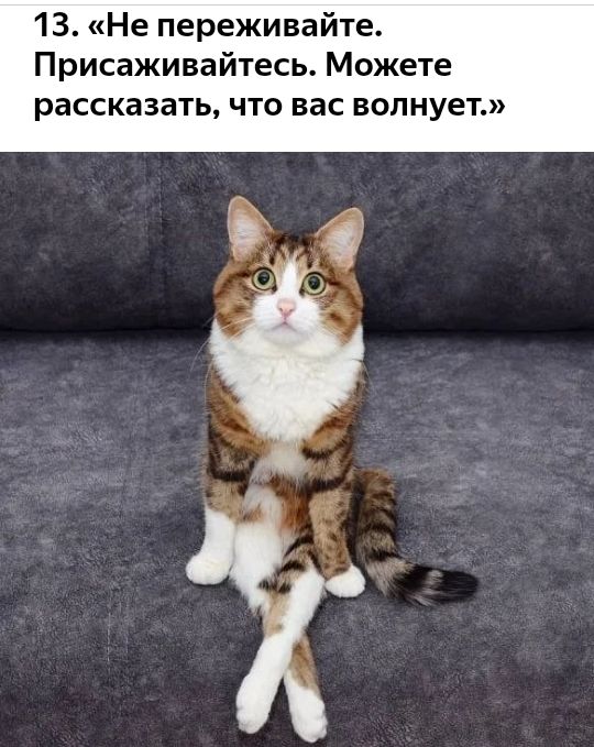 13 Не переживайте Присаживайтесь Можете рассказать что вас волнует