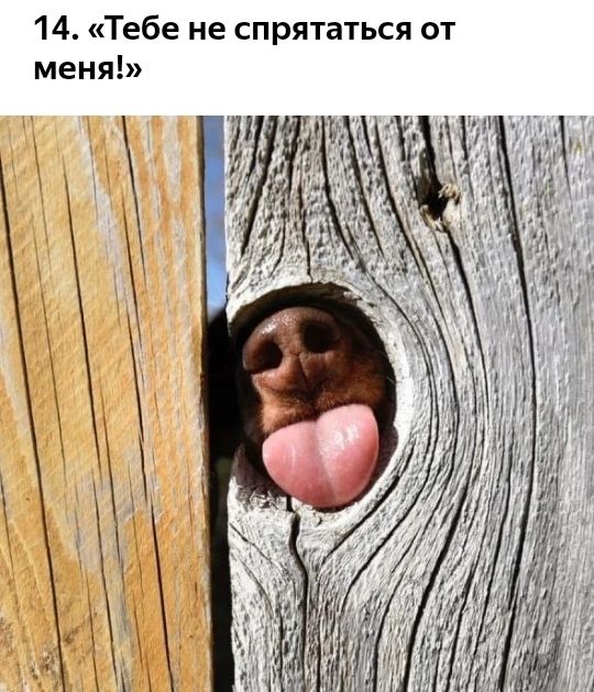 14 Тебе не спрятаться от меня