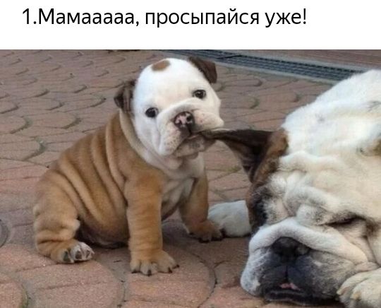 1Мамааааа просыпайся уже