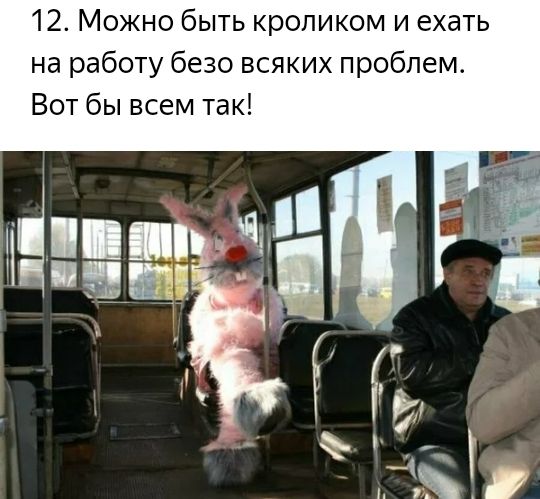 12 Можно быть кроликом и ехать на работу безо всяких проблем Вот бы всем так