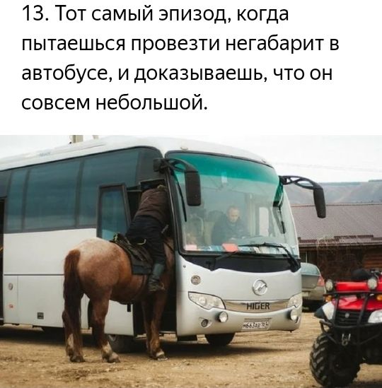 13 Тот самый эпизод когда пытаешься провезти негабарит в автобусе и доказываешь что он совсем небольшой