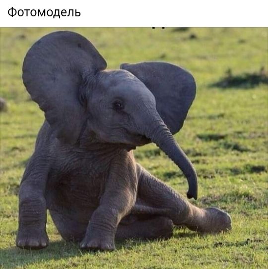 Фотомодель
