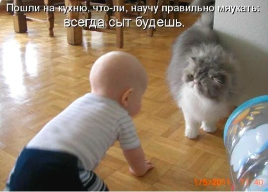 ПЬшпи натнкі чіопи научу правипьно всегда сыт будешь