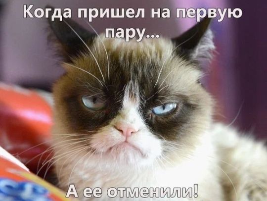 Когда пришел на п рвую