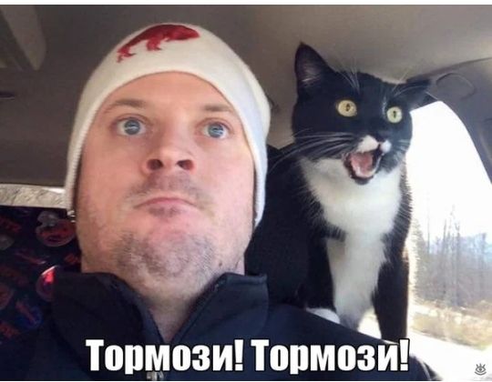 Топмози т опмозй