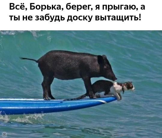Всё Борька берег я прыгаю а ты не забудь доску вытащить
