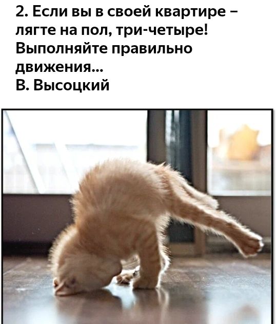 2 Если вы в своей квартире лягте на пол тричетыре Выполняйте правильно движения В Высоцкий