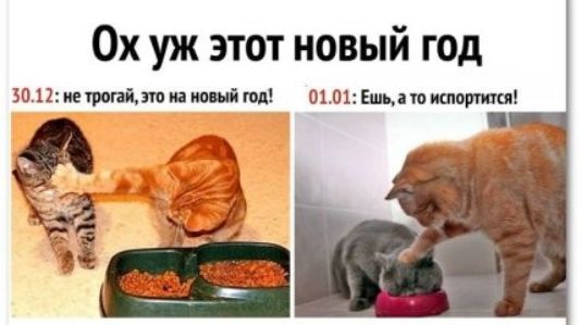 Ох уж этот новый год 3012итю5 01111 Ешыпиашиші