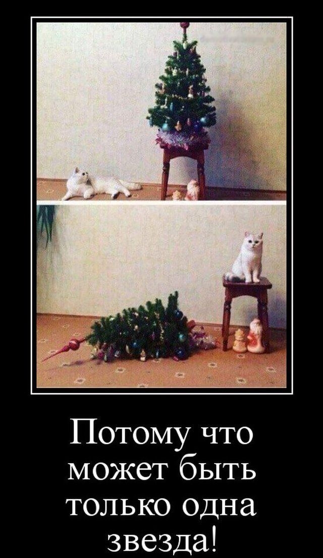 Потому что может быть только Одна звезда