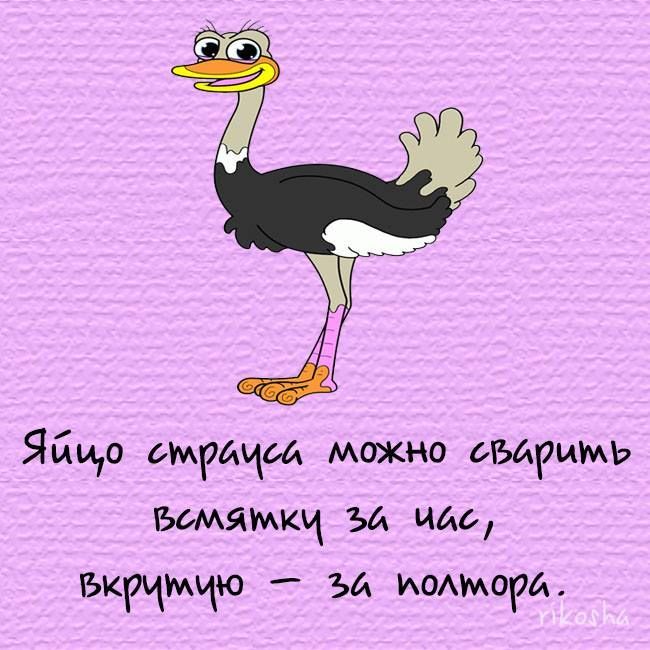 Яйцо омрщш можно выримь ымямщ за час БКРЧМЧЮ Ъй ИОАМОРА