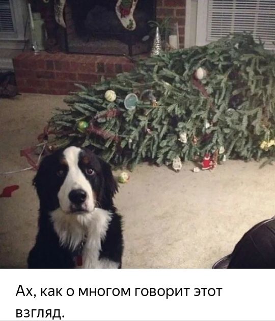 Ах как о многом говорит 3 т взгляд