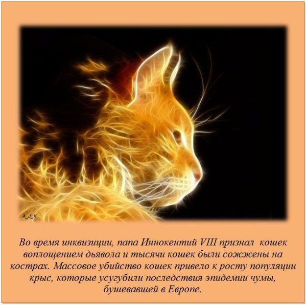 Во время темы Иннщвмншй 1711 ш тт ющуннш тыщи и ты ячн Аптек бы коммуны на ьпгтрщ Лигоеое бнйгтеп кошек привет А ритму от ттт крыс штарые гт дит посюостши лиотп чины билетами е Европе