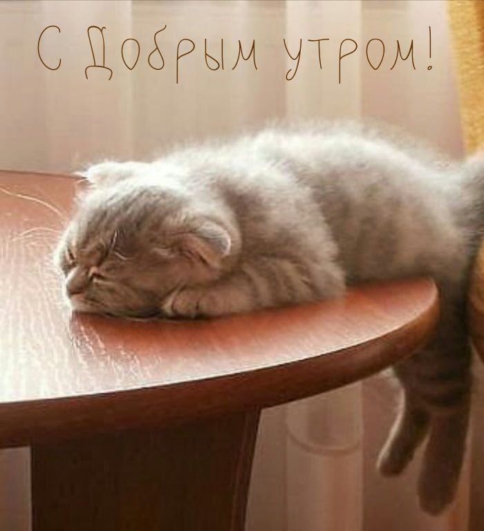 С Доёрым утром