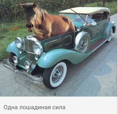 а п И С Я 8 н И д а ш 0 Л В Н д 0