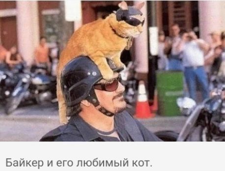 Байкер и его любимый кот