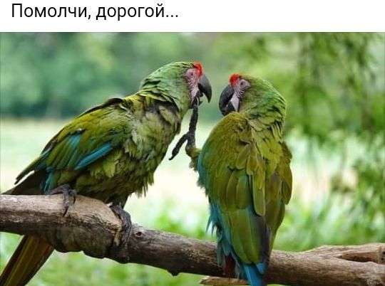 Помолчи дорогой і _3 Ю