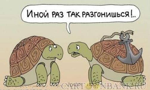 Иной РАЗ ТАк РАзгонишься