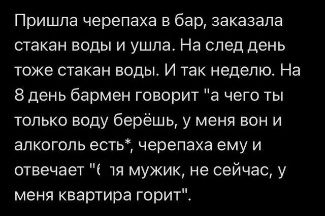 Пришла черепаха в бар заказала стакан воды и ушла На след день тоже стакан воды И так неделю На 8 день бармен говорит а чего ты только воду берёшь у меня вон и алкоголь есть черепаха ему и отвечает 1я мужик не сейчас у меня квартира горитЕ