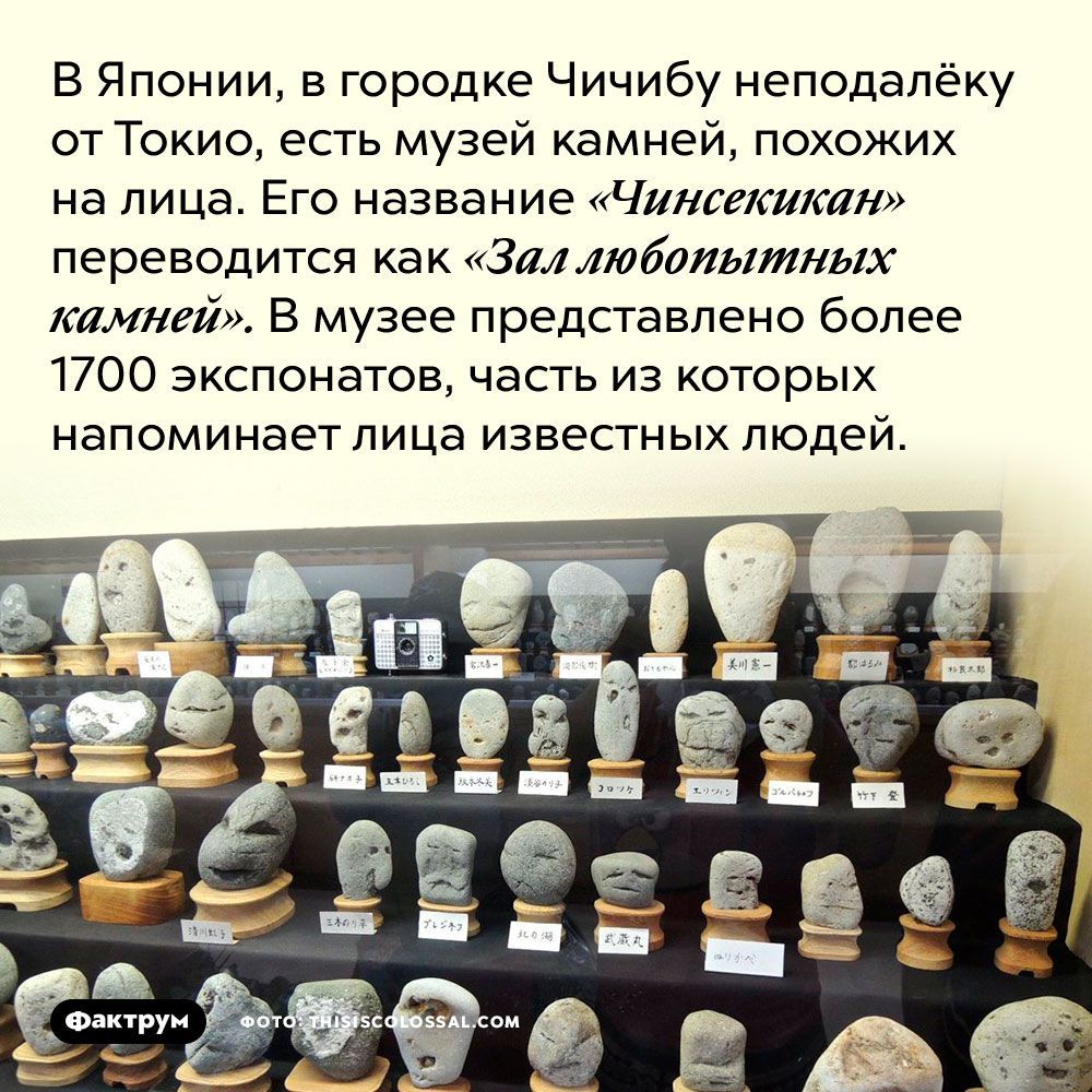 В Японии в городке Чичибу неподалёку от Токио есть музей камней похожих на лица Его название Нинсекшсан переводится как Зал любопытных камней В музее представлено более 1700 экспонатов часть из которых напоминает лица известных людей
