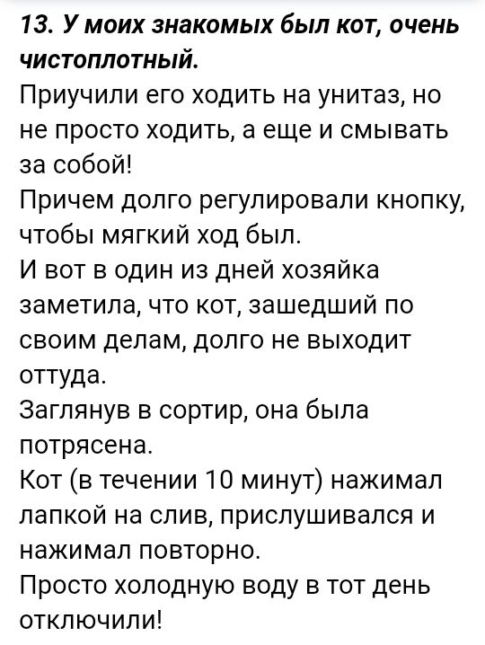 13 У моих знакомых был кот очень чистоплотный Приучипи его ходить на унитаз но не просто ходить а еще и смывать за собой Причем долго регулировали кнопку чтобы мягкий ход был И вот в один из дней хозяйка заметила что кот зашедший по своим делам долго не выходит оттуда Заглянув в сортир она была потрясена Кот в течении 10 минут нажимал папкой на слив прислушивался и нажимал повторно Просто холодную