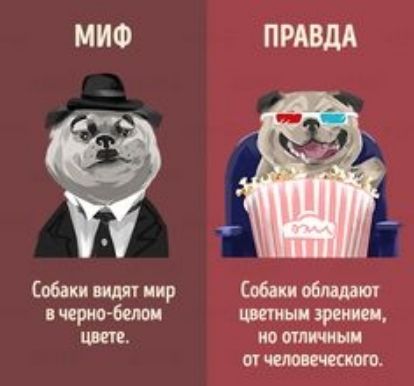 черт бию врет 3 Ю МММ