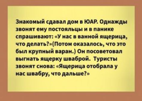 Знакомый сшил дви в ЮАР Одиіжды помп ему посто пыщ и панике прашипт У ип пикой ящерица что депп Потои оказалось что это Был крупный прп Ок посоветовал икать ящерку шпброй Туристы понят сноп Ящерица отобрал у ик шпбру что дальше