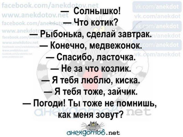 Солнышко Что котик Рыбонька сделай завтрак Конечно медвежонок Спасибо ласточка Не за что козлик Я тебя люблю киска Я тебя тоже зайчик Погоди Ты тоже не помнишь как меня зовут онекэйёё пес