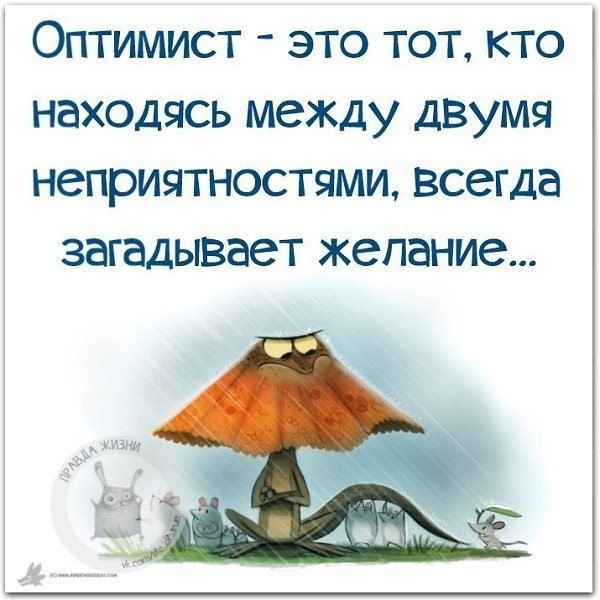 Оптимист это тот кто находясь между двумя неприятностями всегда загадывает желание