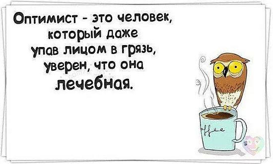 Оптимист это человек который даже упав лицом в грязь уверен что она лечебная