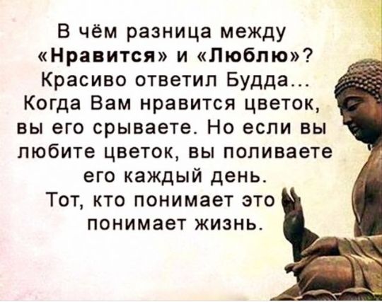 В чём разница между Нравится и Люблю Красиво ответил Будда Когда Вам нравится цветок вы его срываете Но если вы любите цветок вы попиваете его каждый день Тот кто понимает это понимает жизнь