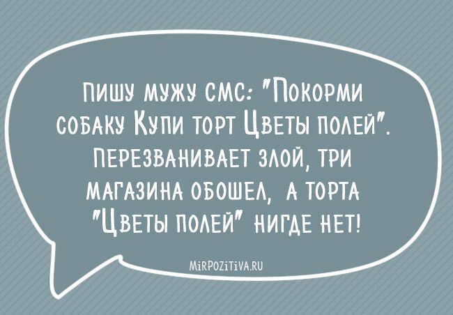пишу мужу смс Покорми СОБАКУ Купи торт ЦвЕты ПОАЕЙ ПЕРЕЗВАНИВАЕТ мои три МАГАЗИНА овошы А тот Цввты ПОАЕЙ НИГАЕ НЕТ МіКРОПТіУАКЦ