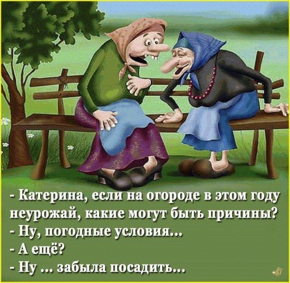 Катерина если на огороде в этом году неурожай какие могут быть причины Ну погодные условия А ещё Ну забыла посадить