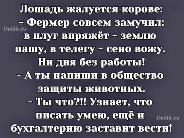 Лошадь жалуется корове МФермер совсем замучил в плуг виряжет землю иашу в телегу сеио вожу Ни дня без работы А ты напиши в общество защиты животных ТЫ что Узнает что писать умею ещё и бухгалтерию заставит вести