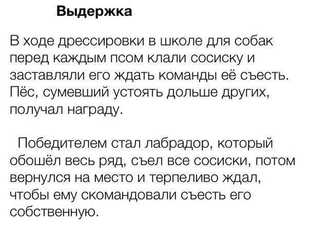 Выдержка В ходе дрессировки в школе для собак перед каждым псом клали сосиску и заставляли его ждать команды её съесть Пёс сумевший устоять дольше других получал награду Победителем стал лабрадор который обошёл весь ряд съел все сосиски потом вернулся на место и терпеливо ждал чтобы ему скомандовали съесть его собственную