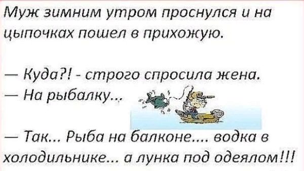 Муж зимним утром проснулся и на ЦЫПОЧКПХ ПОШЕЛ 8 прихожую Куда строго спросила жена _ На рыбалку Так Рыба на балконе водки в холодильнике а лунки под одеялом