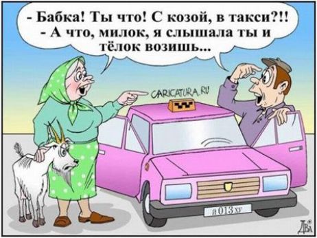 Бабки Ты что С копий в таксит _ А что МИЛОК Я СЛЬШВЛП ТН И тёлок возишь 7