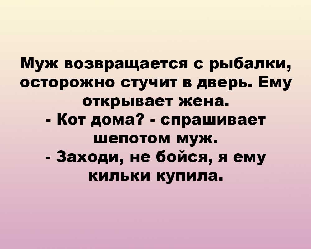 Муж возвращается рыбалки осторожно стучит в дверь Ему открывает жена Кот  дома спрашивает шепотом муж Заходи не бойся я ему кильки купила - выпуск  №1482201