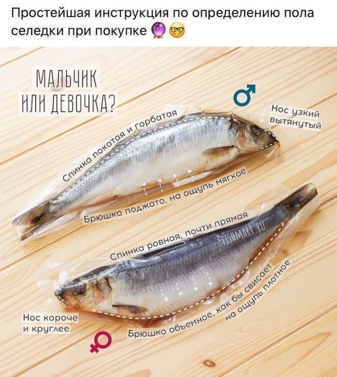 Простейшая инструкция по определению попа селедки при покупке 9 мдпьцнк или шпиц